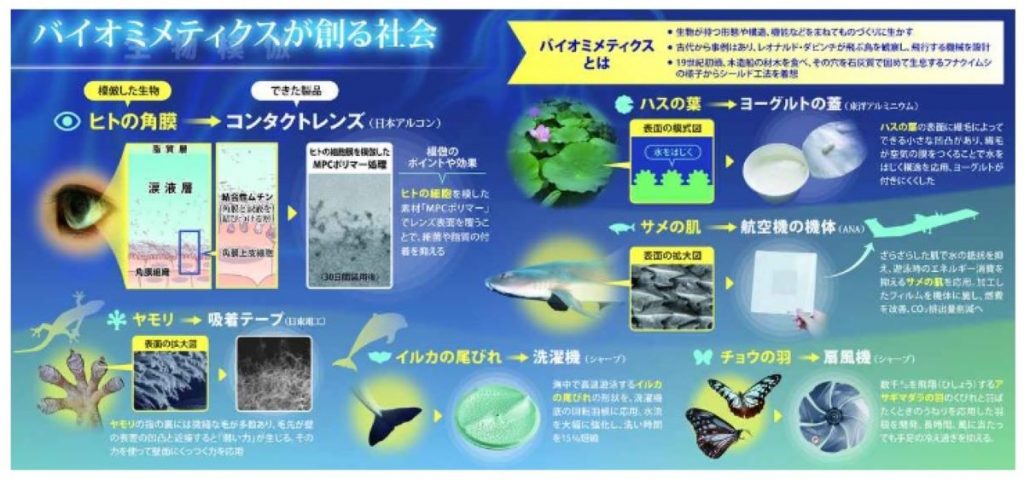 生物を模倣し製品づくり バイオミメティクスの技術革新で地球温暖化を 