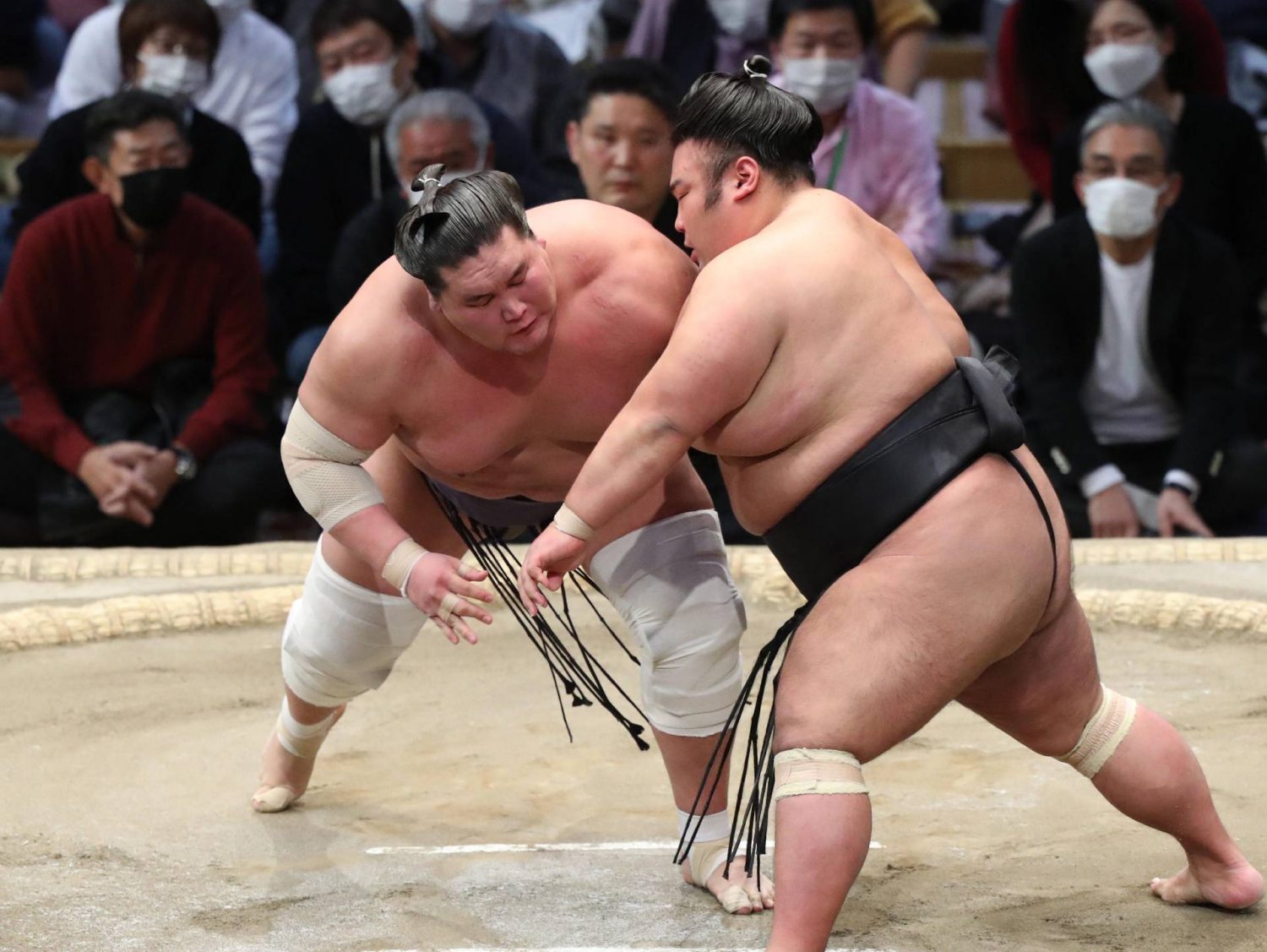 Midorifuji Topples Flying Monkey Tobizaru to Stay in Sole Lead at Spring  Basho