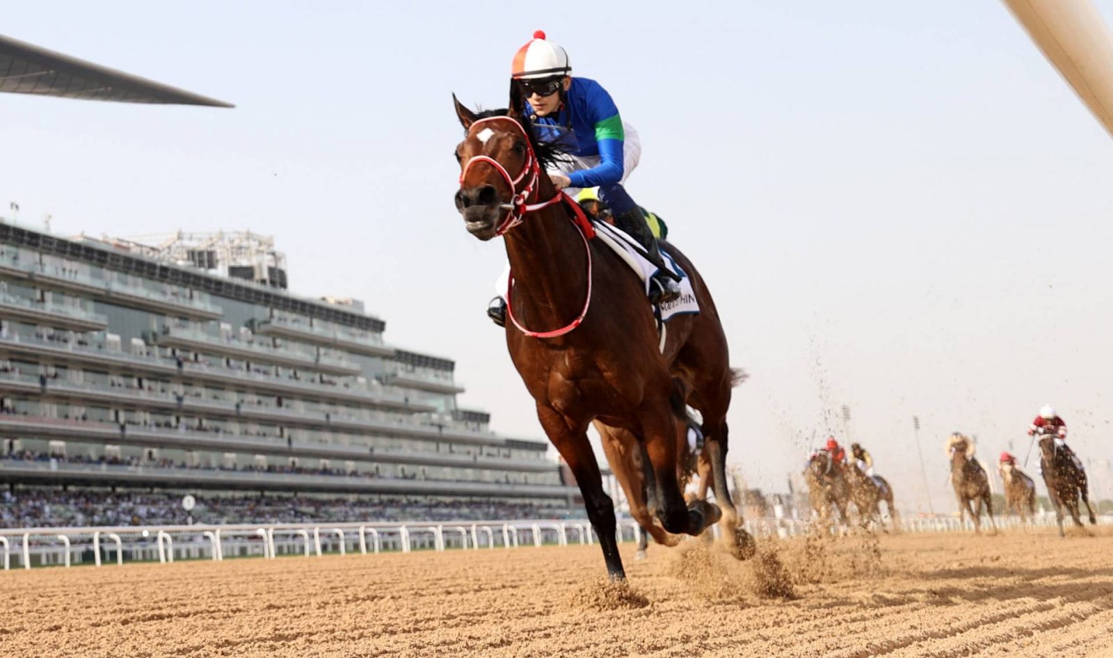 A Super Saturday for Japanese Horse Racing in Dubai | JAPAN Forward