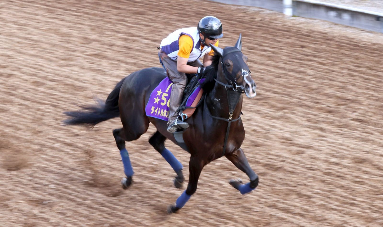 Titleholder Chasing Glory at Star-Studded Takarazuka Kinen 