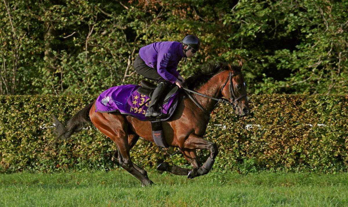 Japanese Quartet Vying for Victory in the Prix de l'Arc de Triomphe