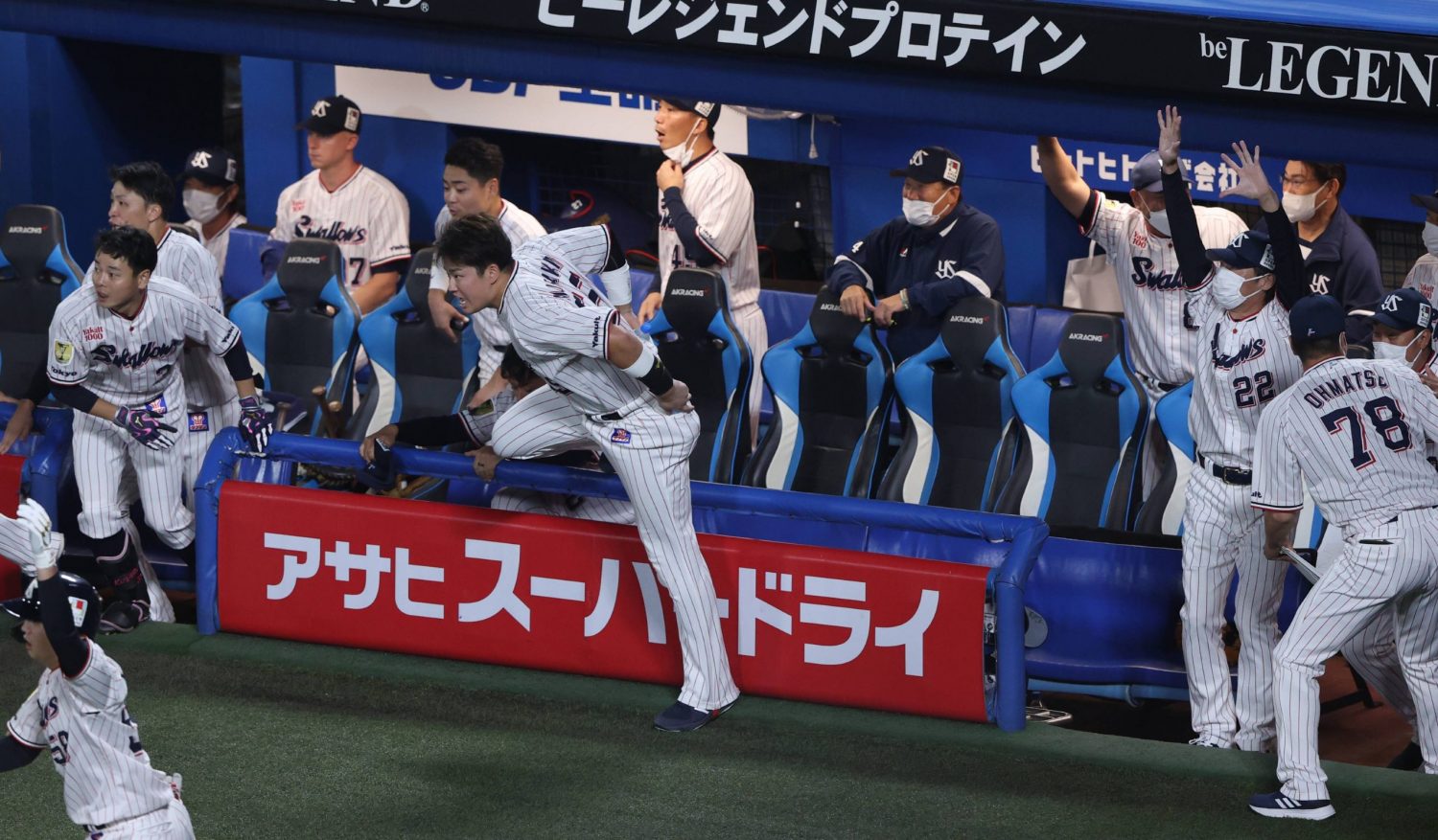 Mondo Mascots on X: Tsubakuro the swallow, mascot for the Yakult Swallows,  opens his new “nest” near Jingu Stadium to the public from tomorrow.   / X