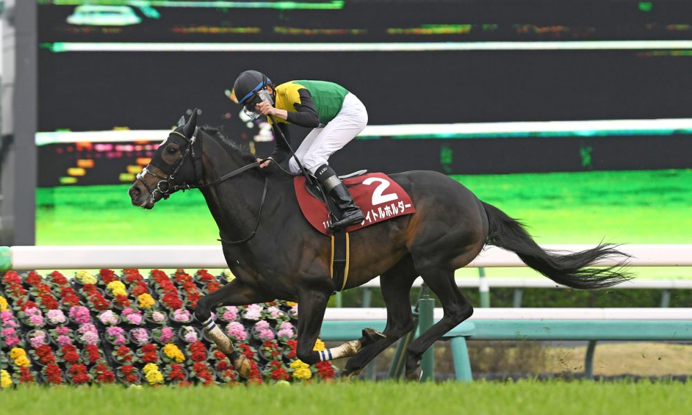 Tenno Sho (Spring) Preview Five Returnees from 2022 and a Change of