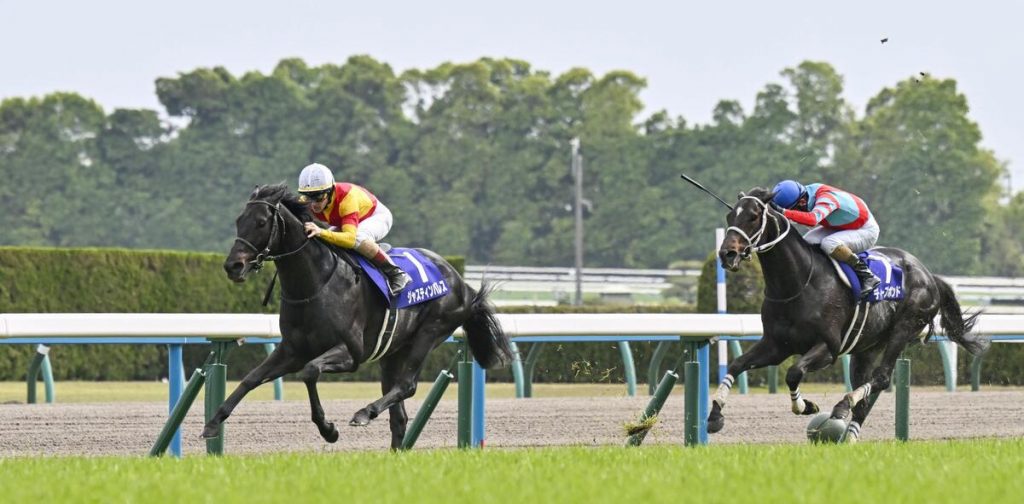 Justin Palace Displays Strong Closing Speed to Win the Tenno Sho