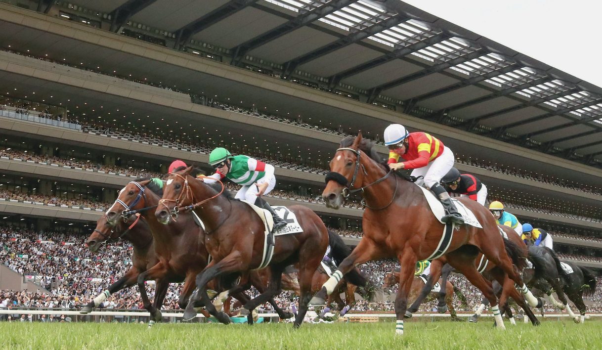 Tokyo Yushun