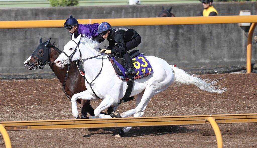 Yasuda Kinen