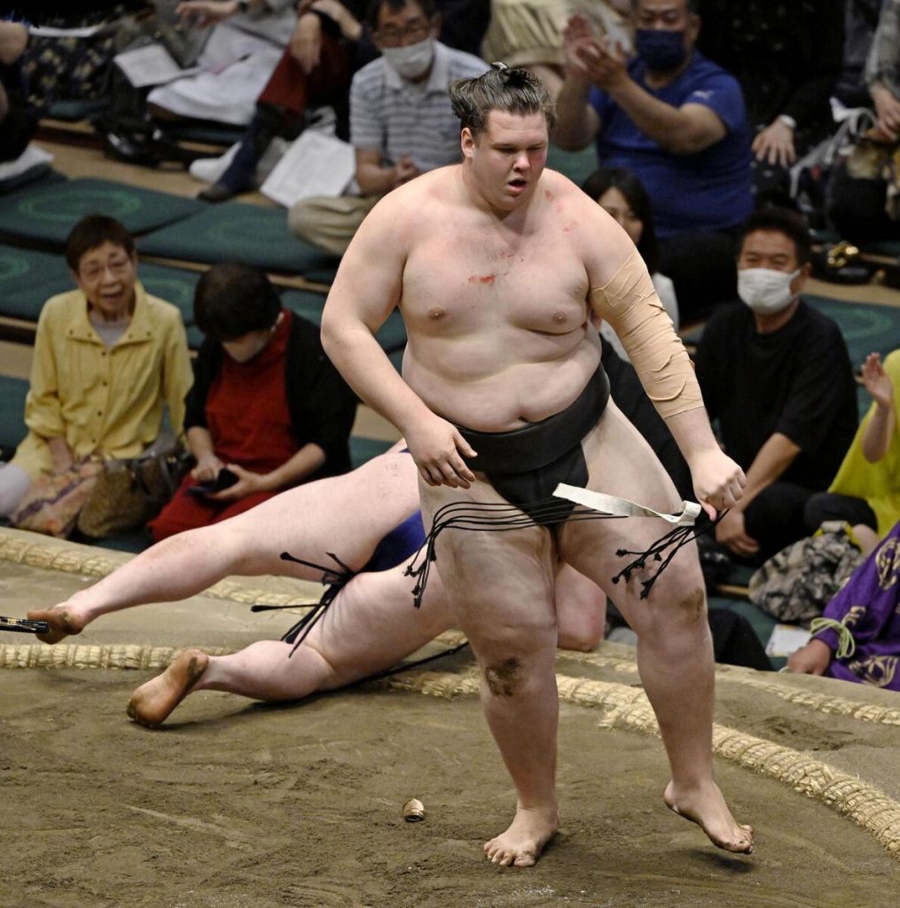 sumo