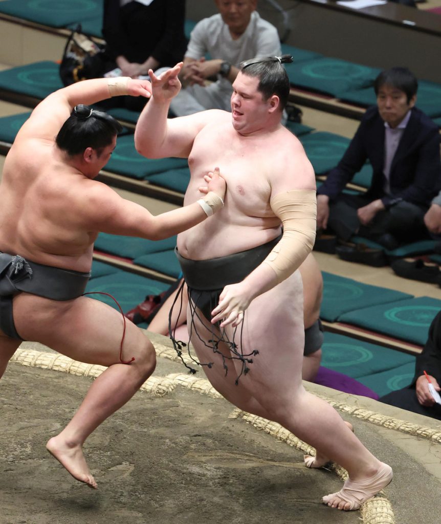 sumo