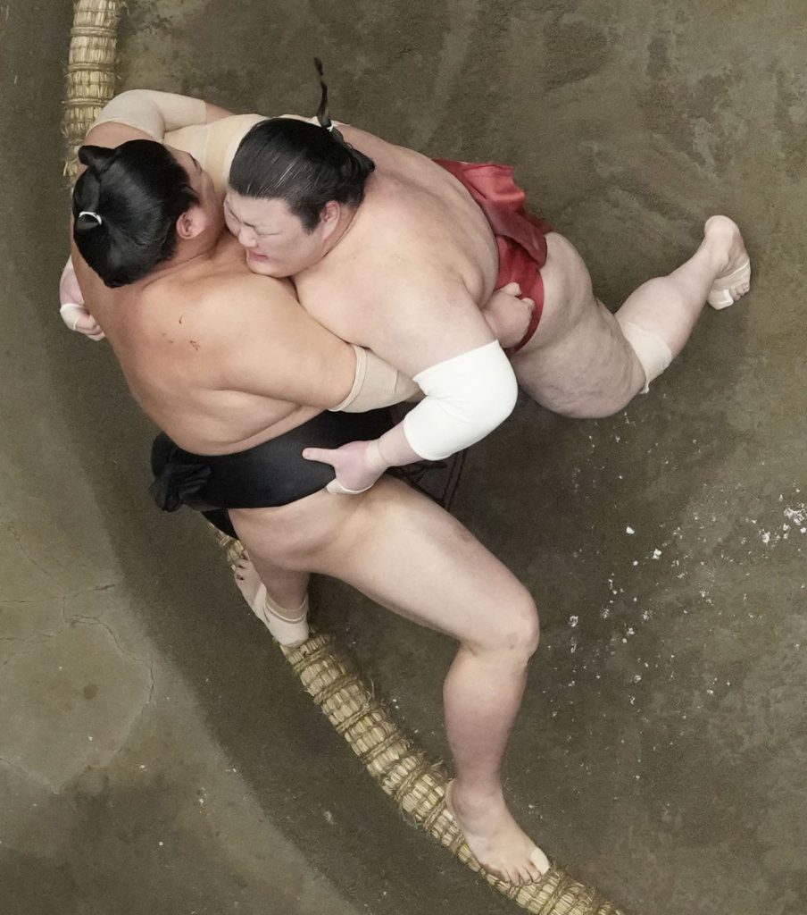 sumo