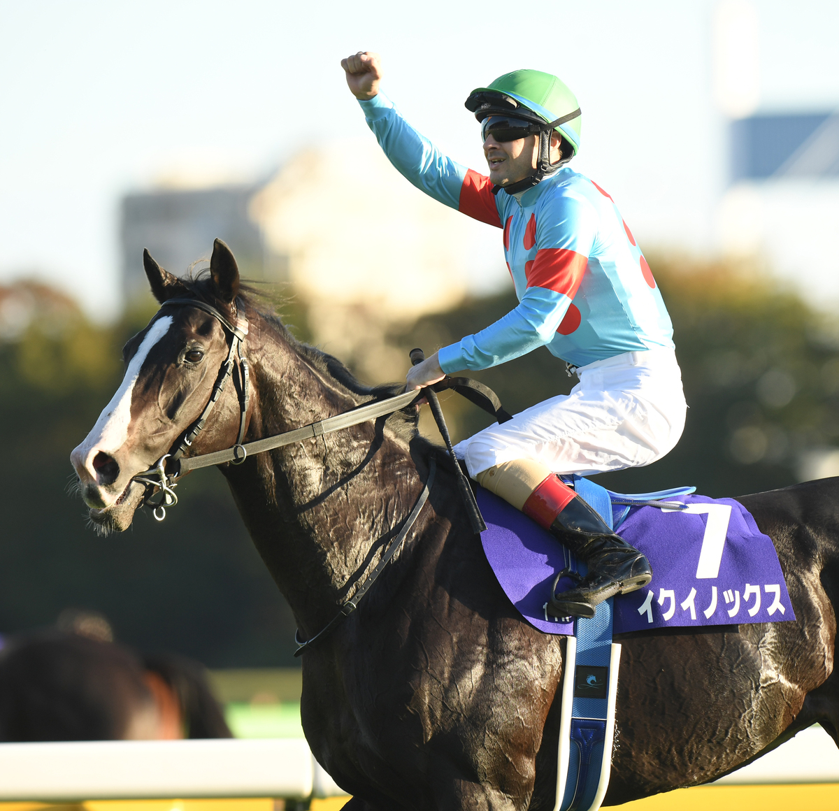 Equinox Repeats as the Tenno Sho (Autumn) Champion SportsLook