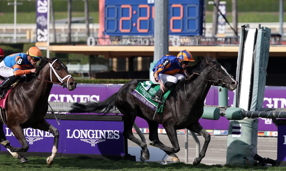 Auguste Rodin Victorious in Breeders Cup Turf SportsLook