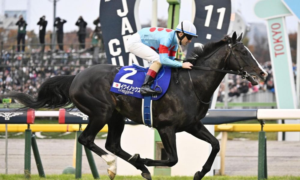 horse2-1126-1000x600.jpg