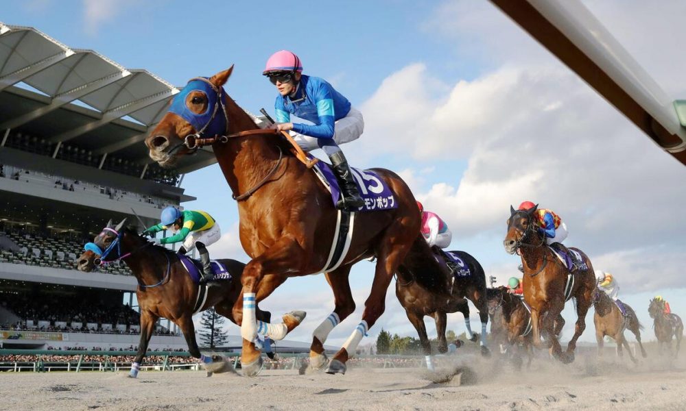 Lemon Pop Claims Wire-to-Wire Victory in the 24th Champions