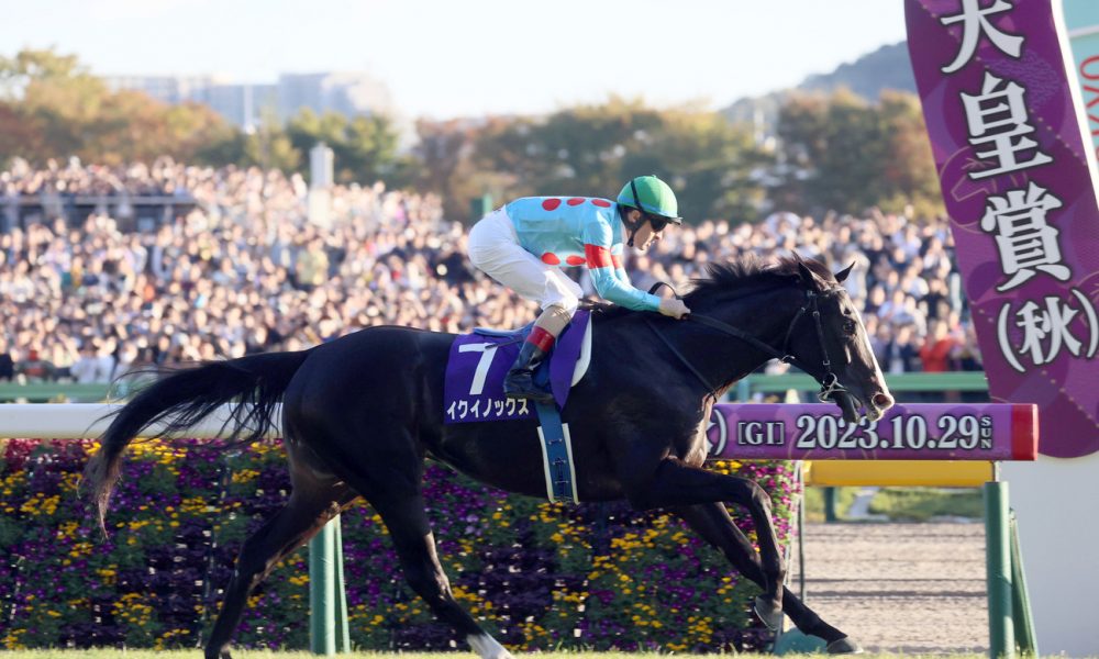 【HORSE OF THE YEAR 2023】イクイノックス　ゴルフ　未使用 What A Champion! The World's Best Horse Equinox Wins The