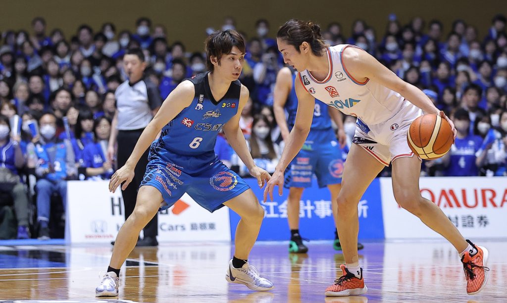 Hiroshima Dragonflies