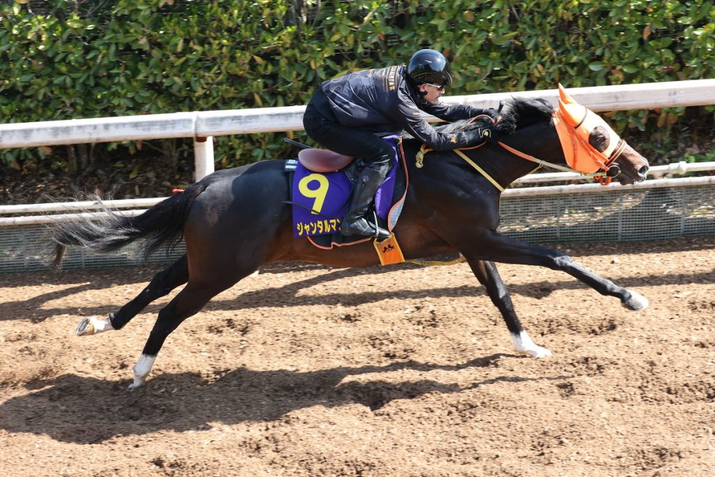 NHK Mile Cup