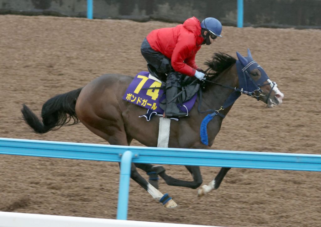 NHK Mile Cup