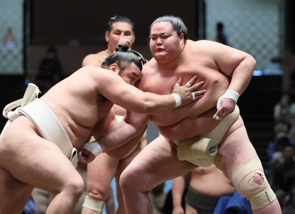 sumo