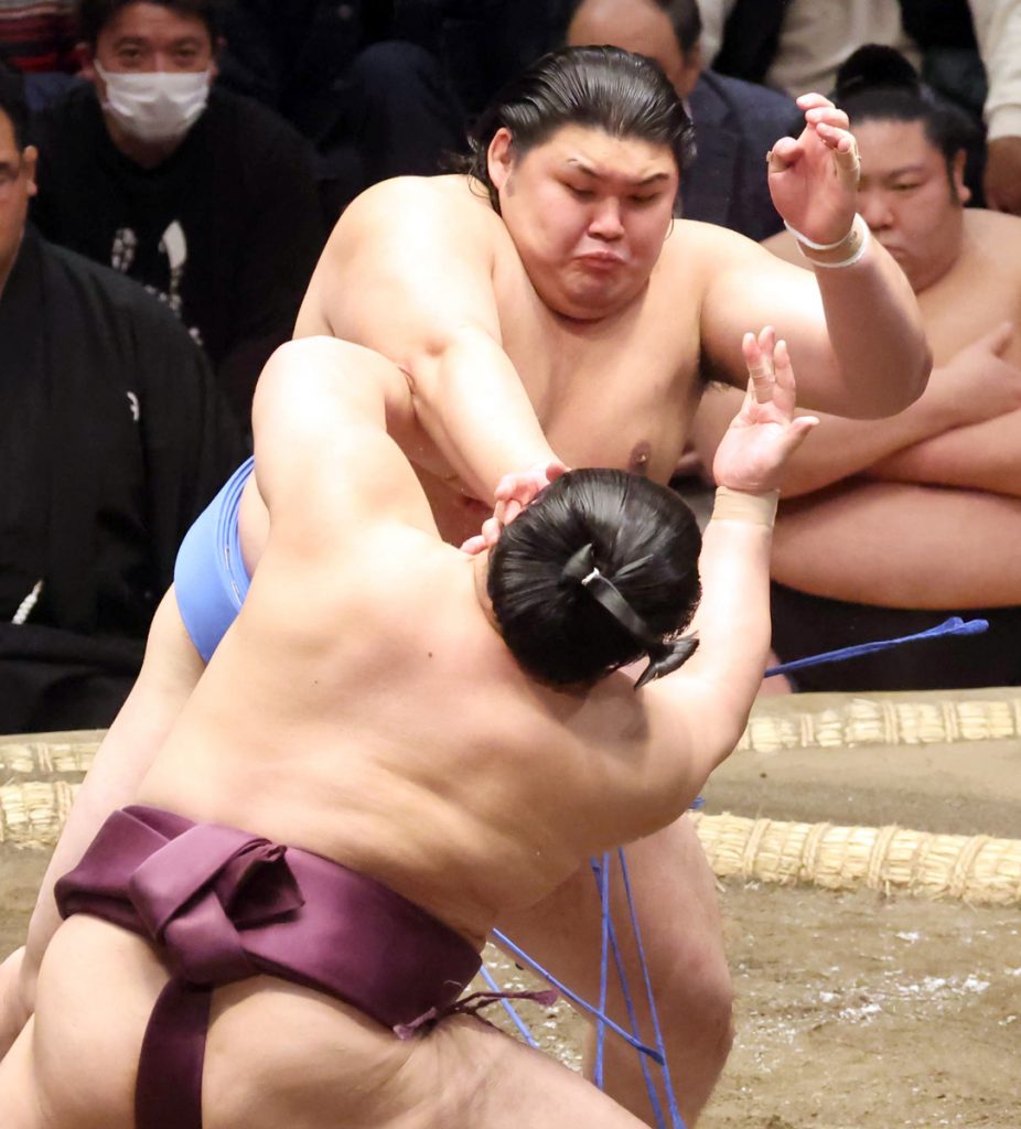 sumo