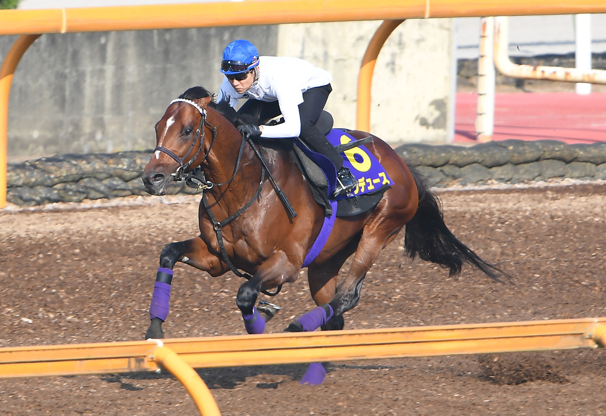 Takarazuka Kinen