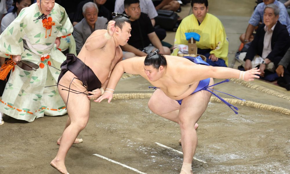 SUMO STOMP Gainsumo ゲインスモー SUMO STOMP Gainsumo ゲインスモー SUMO STOMP Gainsumo ゲインスモー