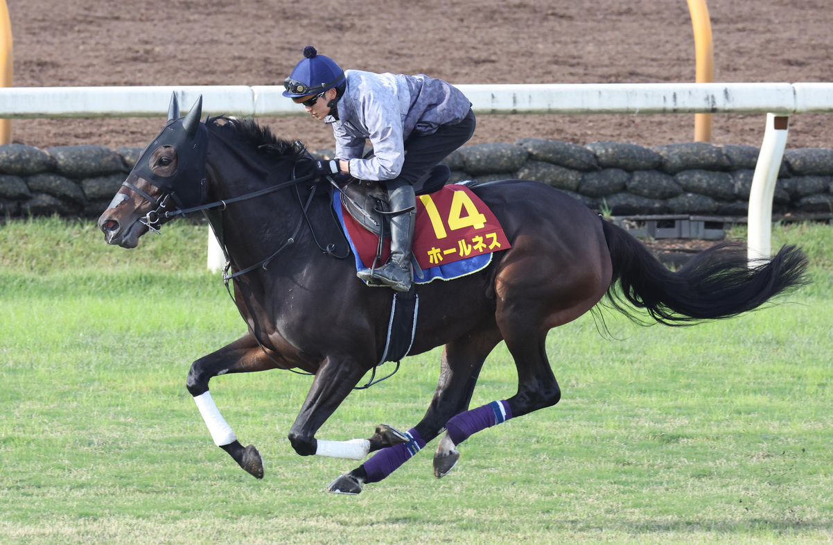 Queen Elizabeth II Cup