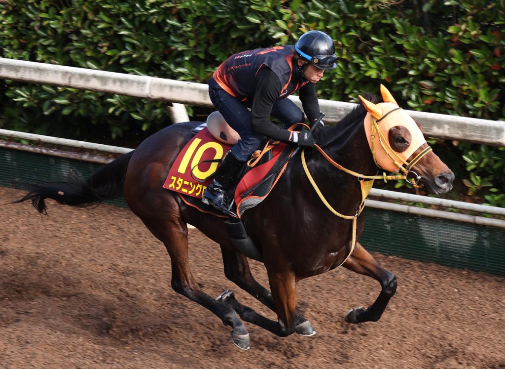 Queen Elizabeth II Cup