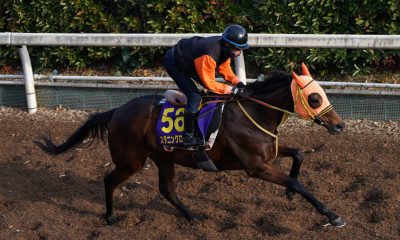 Arima Kinen