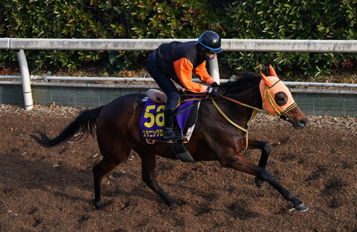 Arima Kinen