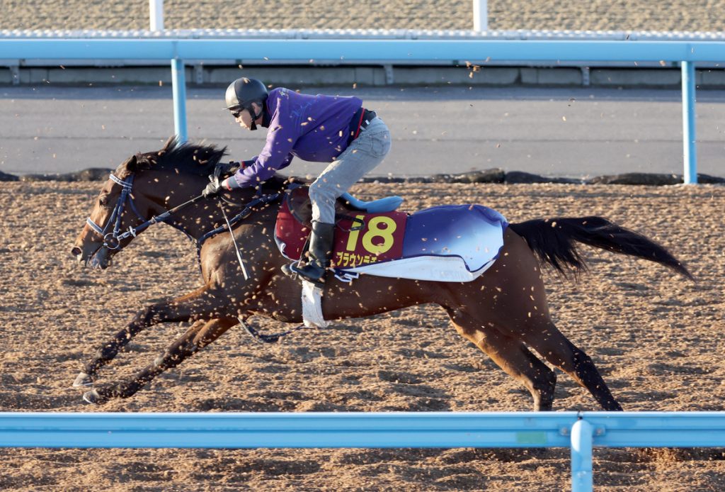 Hanshin Juvenile Fillies