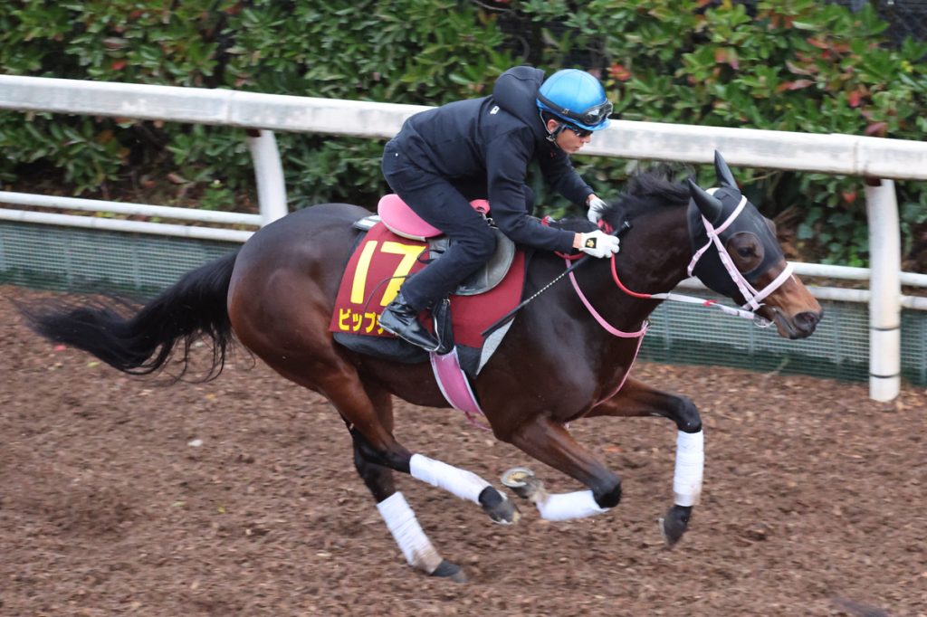 Hanshin Juvenile Fillies