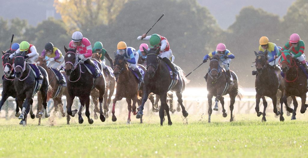 Hanshin Juvenile Fillies