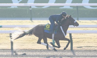 Hanshin Juvenile Fillies