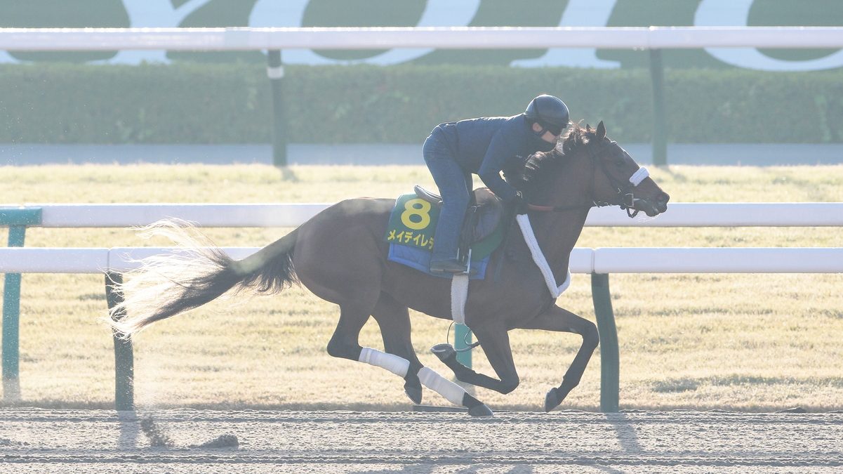 Hanshin Juvenile Fillies