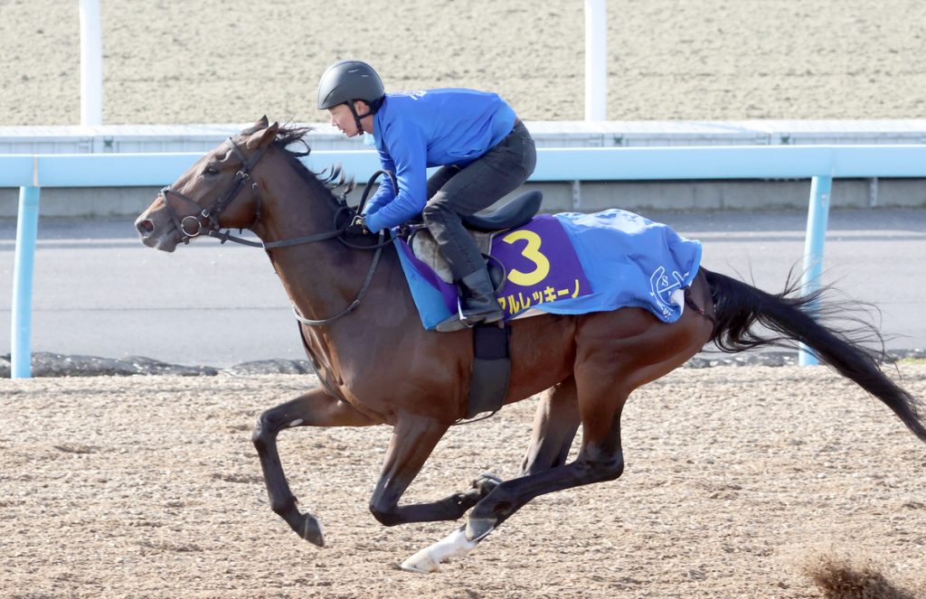 Asahi Hai Futurity Stakes