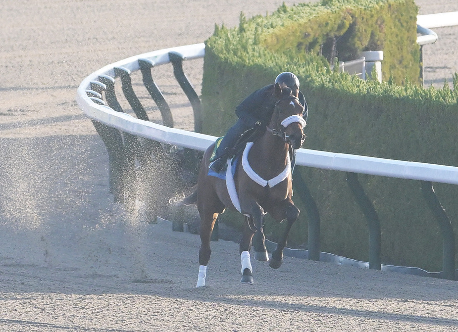 Hanshin Juvenile Fillies