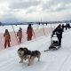 dogsled