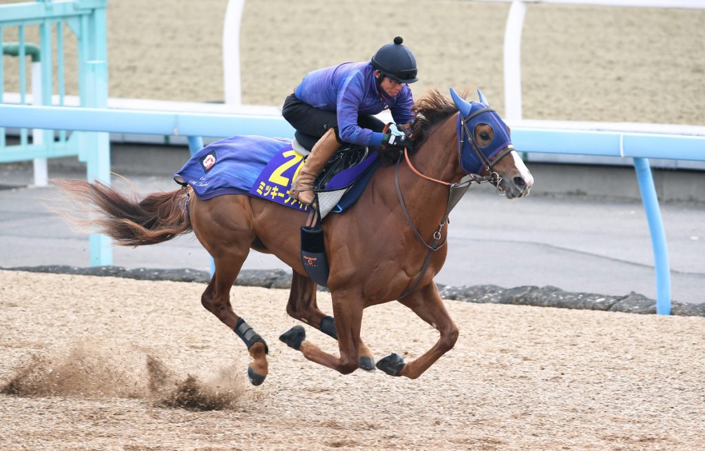 February Stakes