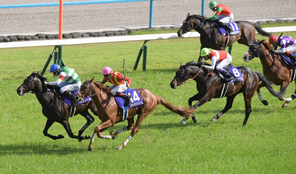 Tenno Sho