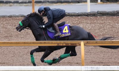 Tenno Sho