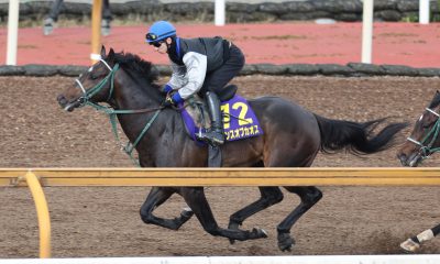 NHK Mile Cup