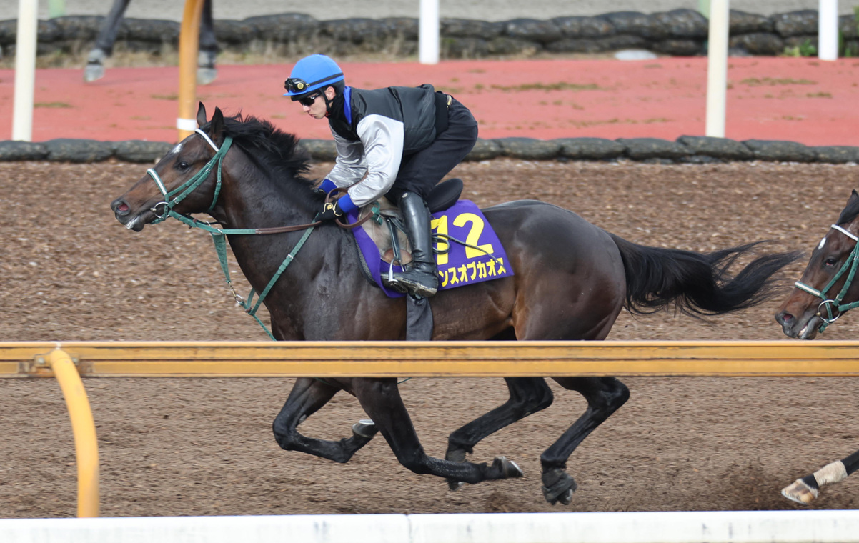 NHK Mile Cup