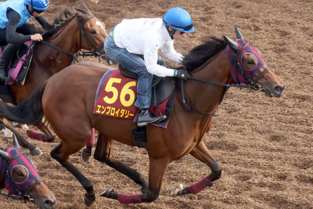Yushun Himba