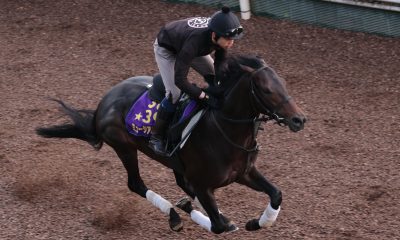 Tokyo Yushun