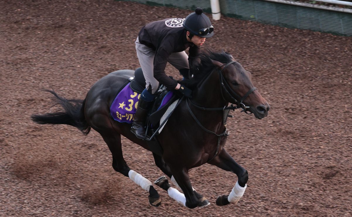 Tokyo Yushun