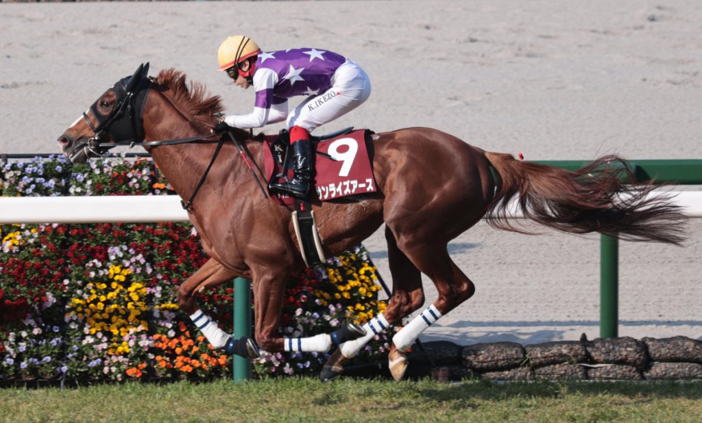 Tenno Sho