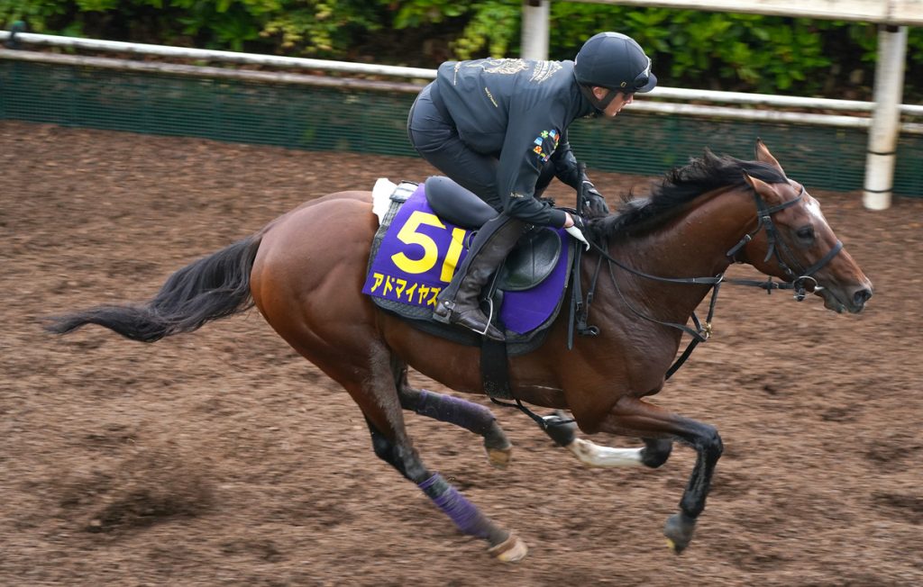 NHK Mile Cup
