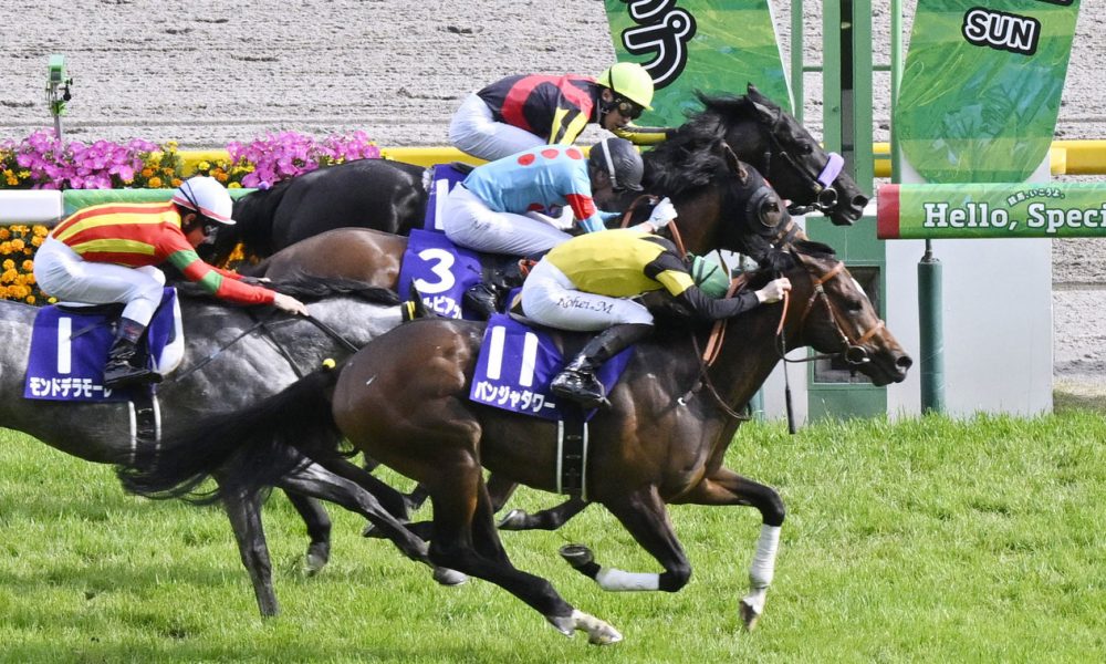 NHK Mile Cup