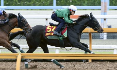 Yushun Himba