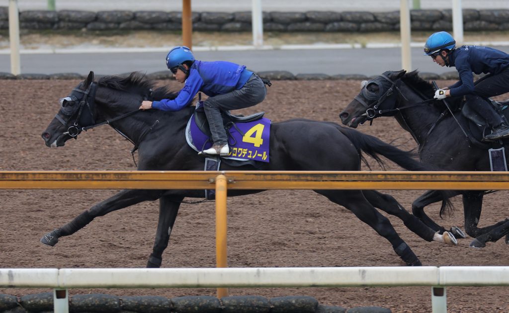 Tokyo Yushun